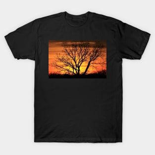 Blazing Sunset with a Tree silhouette T-Shirt